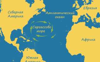 Море без берегов как оно называется