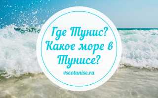 Тунис какое море или океан омывает