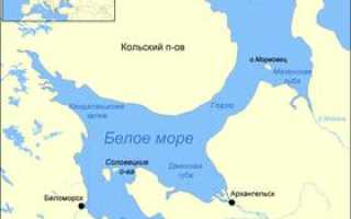 Белое море какая береговая линия