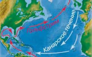 Моря океаны реки озера список