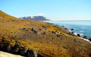 Карское море размеры акватории