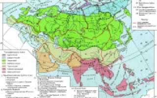 Какая высота евразии над уровнем моря