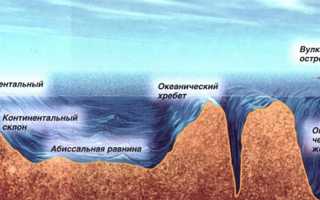 Подводный рельеф дна мирового океана