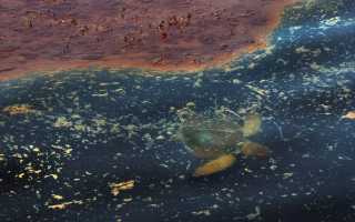 Море без берегів атлантичного океану