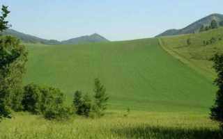 Уровень моря над сибирью